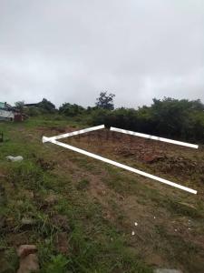 Ppal La victoria, Guásimos, Táchira 5001, Venezuela