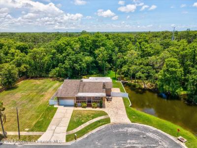 5904 Springrun Court, Holiday, Florida 34690, USA