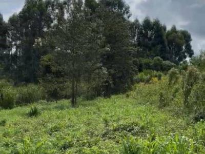 A 1 cuadra de la escuela Arandurá y 600 m de la ruta 6 , Bella Vista, Itapúa 00001, Paraguay