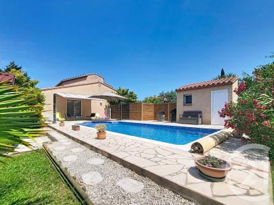 Ceret, Languedoc-Roussillon 66400, France