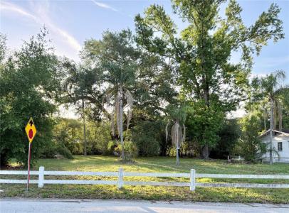 304 Springdale Place, Temple Terrace, Florida 33617, Stati Uniti