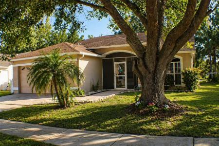 1723 Bell Ranch St, Brandon, Flórida 33511, Estados Unidos