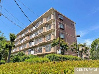 西みずほ台３丁目, みずほ台団地, 富士見市, سايتاما 354-0018, اليابان 