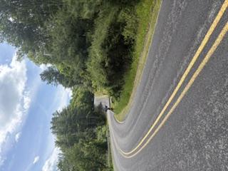 Lot # 1&2 Emory Road, Dingmans Ferry, Pensylwania 18328, USA