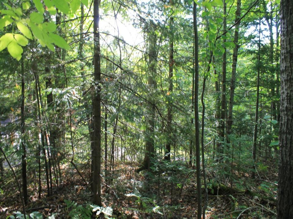 Lot 16 on Alpine Dr, Anderson, Wisconsin 54565, HOA KỲ