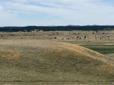 TBD Blue Herron Road, Lot #1, Hermosa, SD 57744, USA