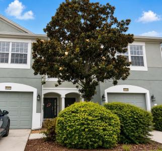 10137 PINK PALMATA CT, RIVERVIEW, Florida 33578, USA