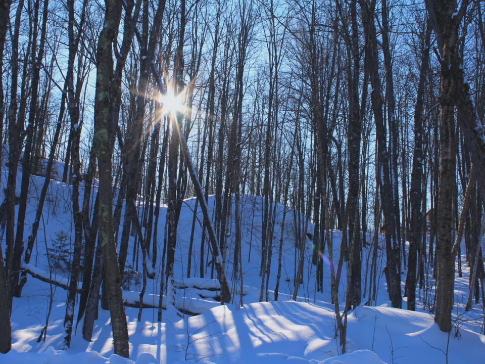 Outlot 3 Skye Dr, Upson, Wisconsin 54565, Estados Unidos