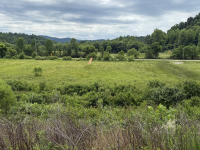 31 Hayes Creek Rd, Pine Knot, Kentucky 42635, USA