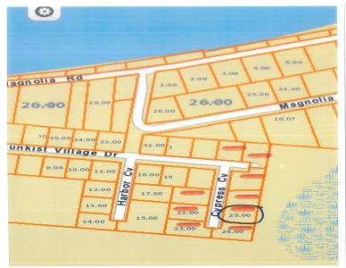 Lot 18 Cypress Cove, Tiptonville, Tennessee 38079, USA
