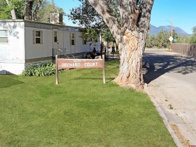 910 Memorial Drive 1-20, Cortez, コロラド 81321, アメリカ合衆国