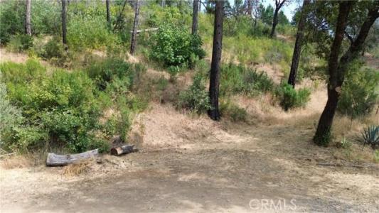 Feather Ridge Way, Bryc, California 95916, Stati Uniti