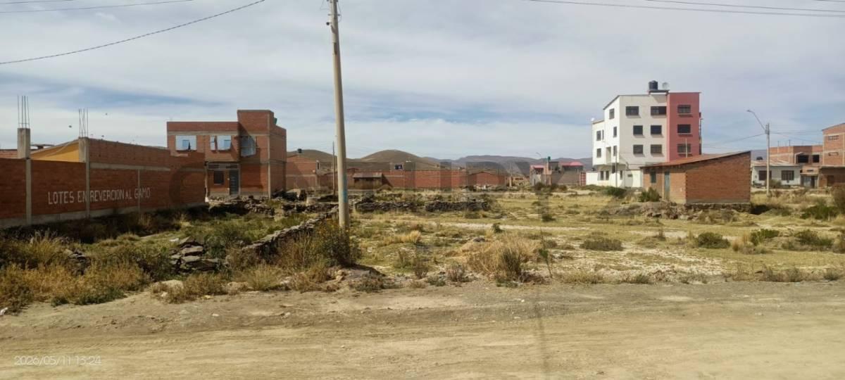 AV. TACNA ENTRE C/C Y D 5, Este, Oruro 00001, Bolivie