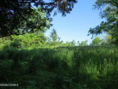 Chapins Road, Bloomsburg, Pennsylvania 17815, USA