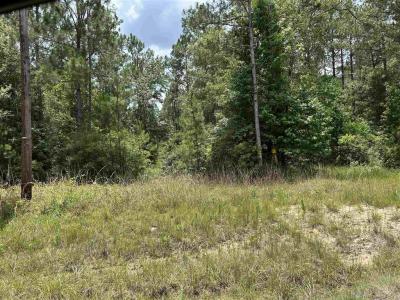 Hwy 389 Highway, Merryville, Louisiana 70653, USA