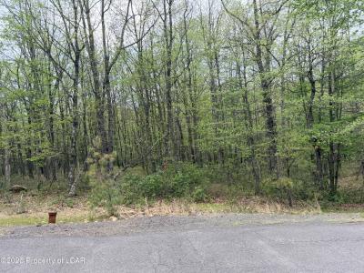 159 Chippewa Drive, Hazleton, Пенсильвания 18202, Соединенные Штаты