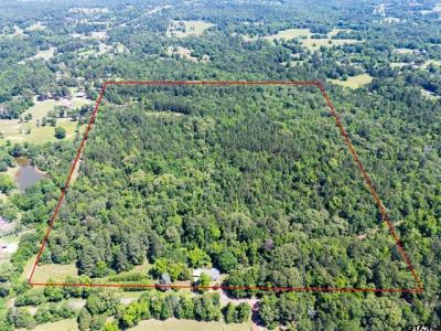 1085 Pyeatt Rd, Gladewater, Texas 75647, USA