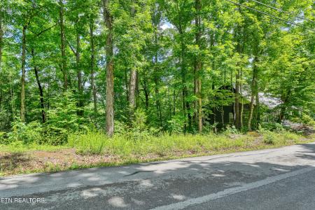 424 Laurel Rd, Townsend, Tennessee 37882, USA