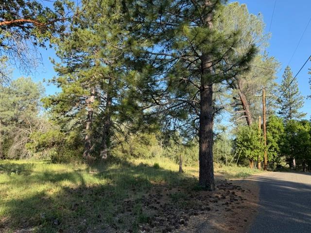 9030 Orval Beckett Court, Placerville, Californie 95667, États-Unis
