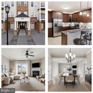 24636 Woolly Mammoth Terrace , 202, Aldie, 버지니아 20105, 미국