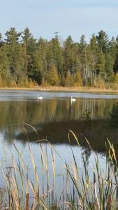 580223 SIDEROAD 60 N/A, Chatsworth, Ontario N0H 1C0, Canada