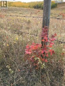 0 96 STREET WEST, Rural Foothills County, Alberta T1S 3K4, Kanada