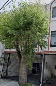 Monterrey, Nuevo León 64060, Meksyk