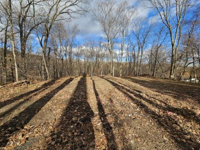 34 Starlight Dr, Lot 8.01, 8.02, Morris Township, New Jersey 07960, Stati Uniti