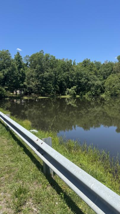 0 Lakewood Drive Lot 17, Beechgrove, تينيسي 37018, الولايات المتحدة