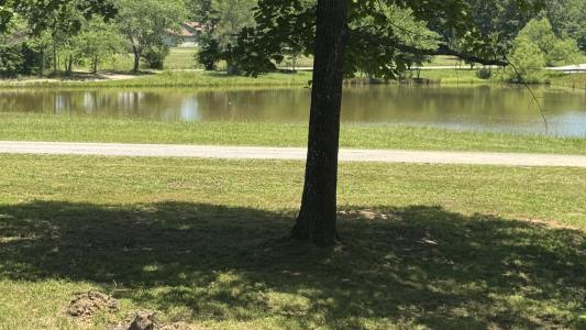 1684 Rimfire Drive Lots 15 & 16, Beechgrove, Tennessee 37018, USA