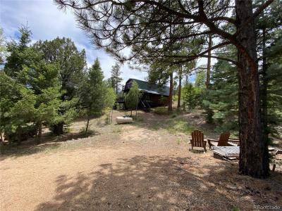 1927 Basin Drive, Cotopaxi, Colorado 81223, Estados Unidos