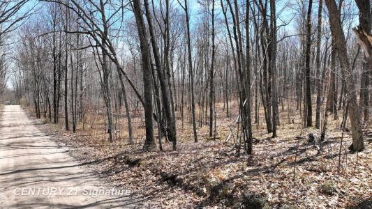 8995 N Harrison, Harrison, Michigan 48625, USA