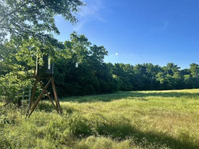 14188 County Road 195, Wheatland, Missouri 65779, États-Unis