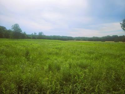 N Stanford Lane, Opdyke, Illinois 62872, HOA KỲ