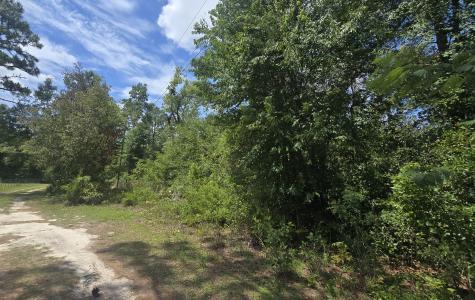 TBD NE 822nd St, Old Town, Florida 32680-8299, Stati Uniti