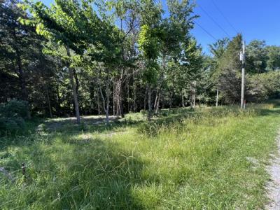 Lot 1309 and Lot 1310 Lakeshore Dr S, Goreville, Illinois 62939, USA