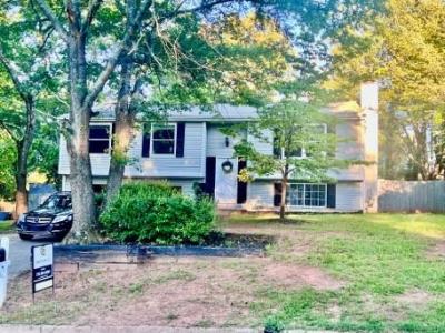 10415 Plantation Bridge Drive, Alpharetta, Georgia 30022, Stati Uniti