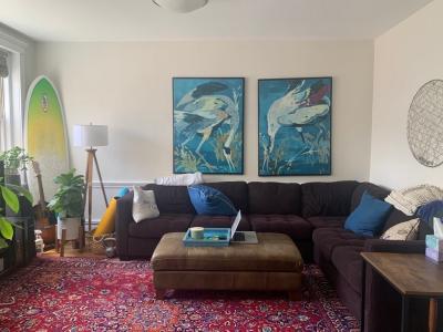 224 Jamaicaway , #8, Boston, Massachusetts 02130, USA