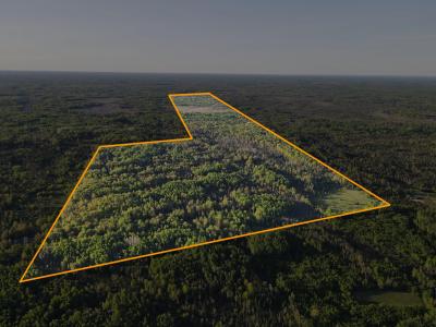 V/L 33 Road 240 Acres, Perkins, Michigan 49837, USA