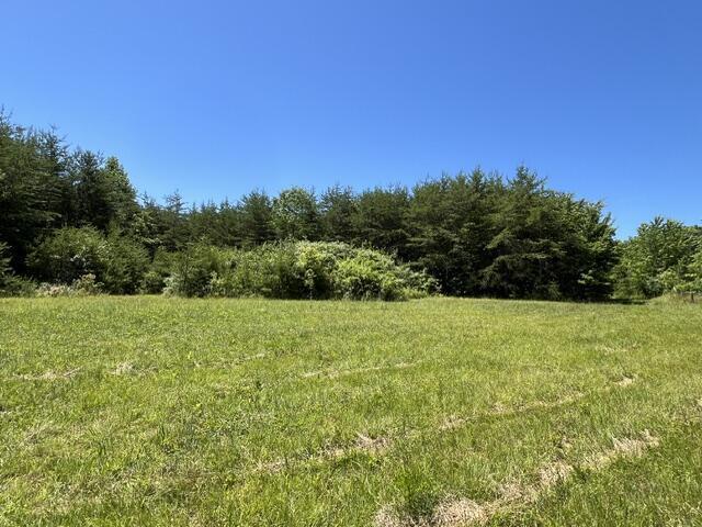 362 Cullen Savage Road, Palmer, تينيسي 37365, الولايات المتحدة