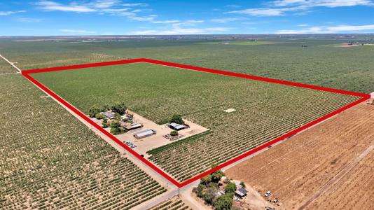 11388 S Chateau Fresno Avenue, Caruthers, California 93609, USA