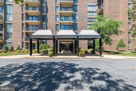 9900 Georgia Avenue Unit# 27-613, Silver Spring, Maryland 20902, Amerika Birleşik Devletleri
