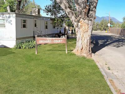 910 Memorial Drive 1-20, Cortez, Colorado 81321, USA