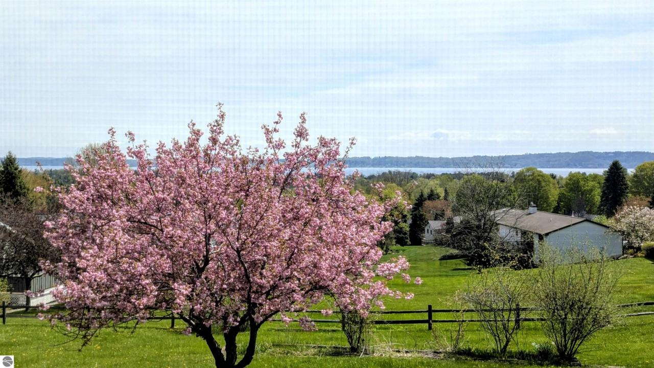 9754 E Harbor Hills Drive, Traverse City, Michigan 49684, Stati Uniti