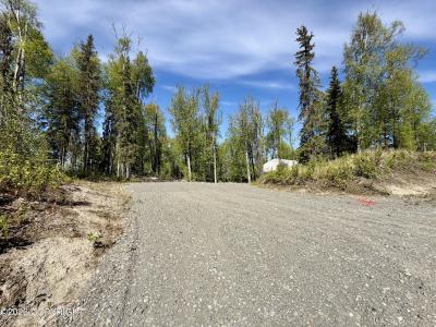 36255 Denbrock Street, Soldotna, Alaska 99669, USA
