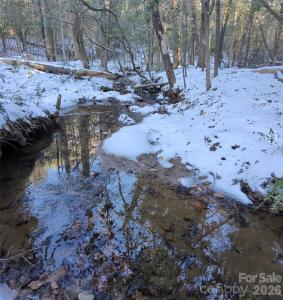 670 Cedar Creek Road, Lake Lure, Caroline Du Nord 28746, États-Unis