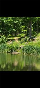 170 Clarks Hollow Rd, Spring Church, Pennsylvania 15686, USA
