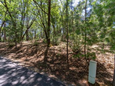 5030 Irish Oak Lane, Placerville, California 95667, USA