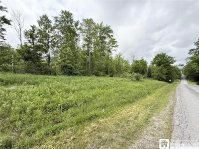 0 Luce Road, Bemus Point, NY 14712, USA