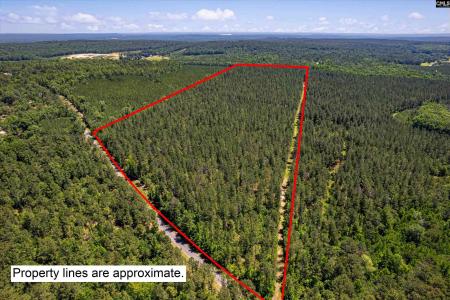 TBD Toms Creek Road, Hopkins, South Carolina 29061